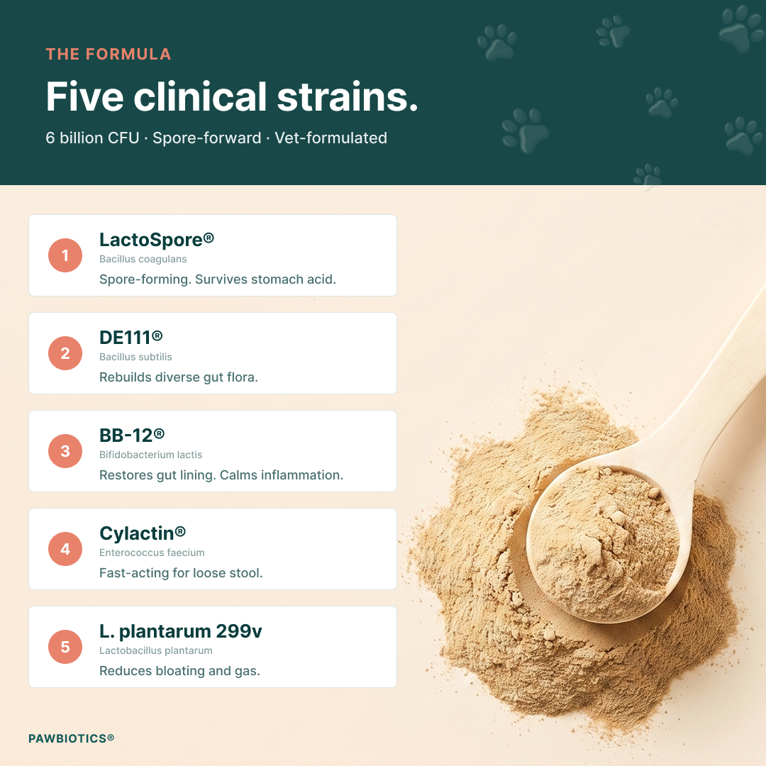Gut Rescue - Microbiome Support For Dogs