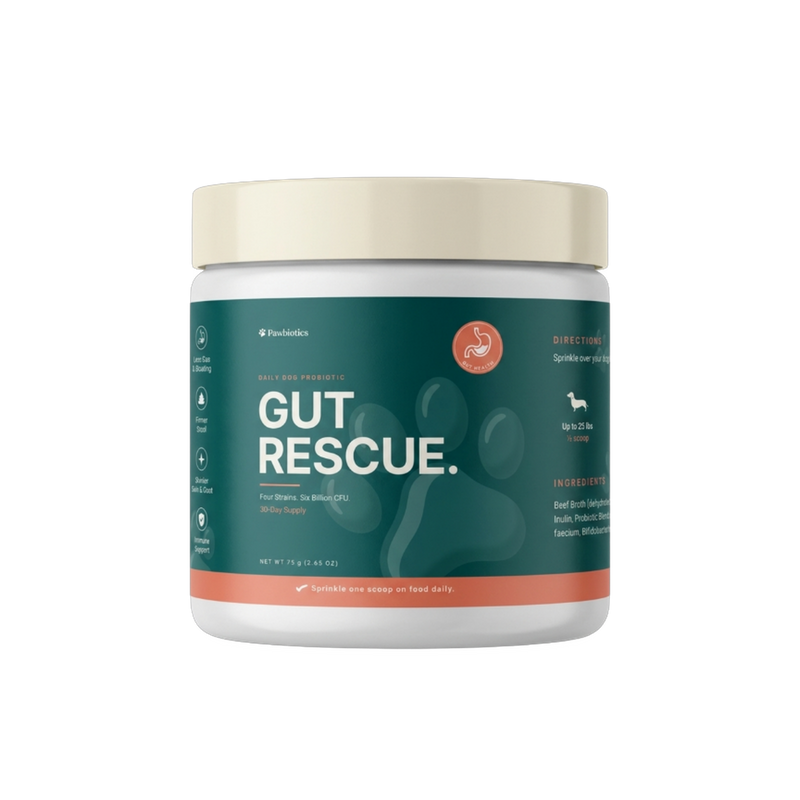 Gut Rescue, 1 jar