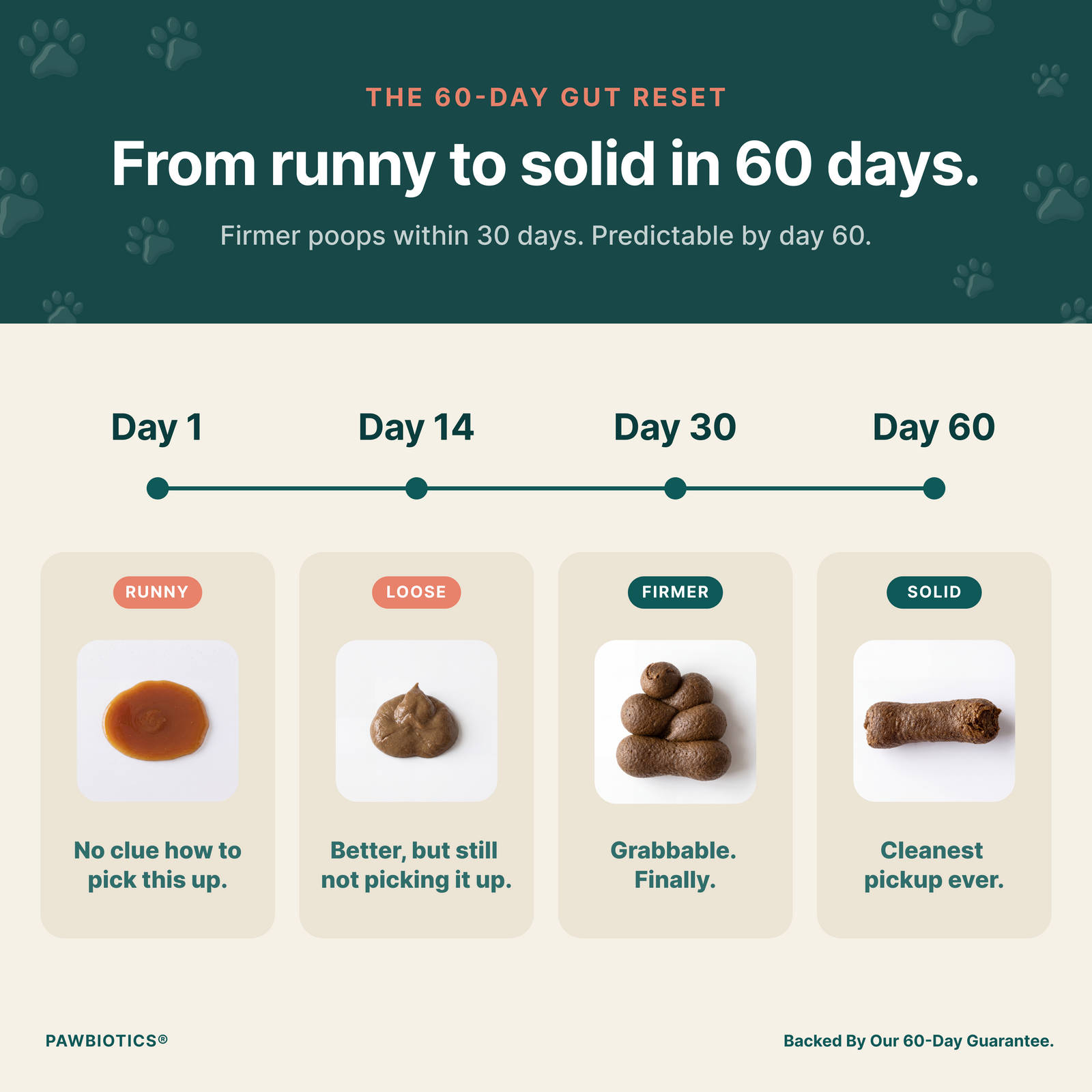 How dog poop transforms Day 1 to Day 60 on Pawbiotics Gut Rescue